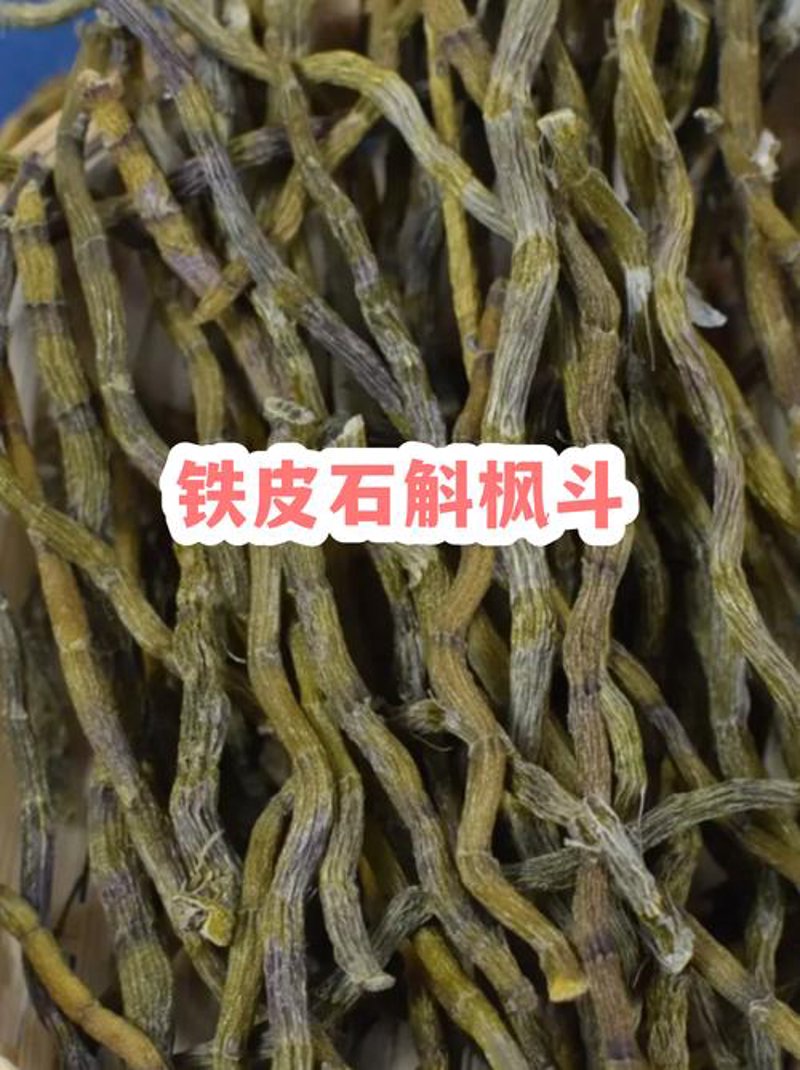铁皮石斛:传统养生的现代价值