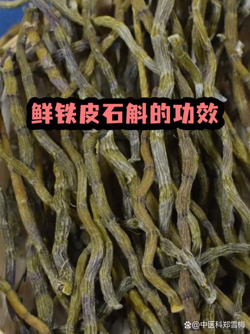 石斛深加工：解锁天然草本的无限可能