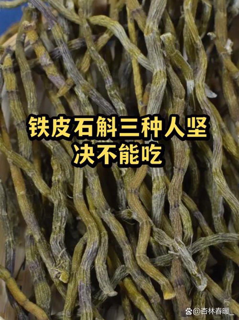 石斛鲜条：绿色养生新宠